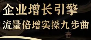 《企业流量倍增九步曲：快速获客与变现的实操指南》-小伟资源网