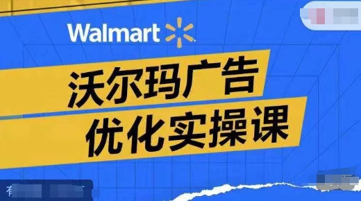 沃尔玛广告优化实战：提升转化率与ROAS的广告报告实操指南-小伟资源网
