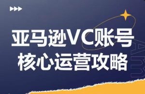 亚马逊VC账号运营秘籍：实战技巧拆解，提升GMV与利润的模块化策略-小伟资源网
