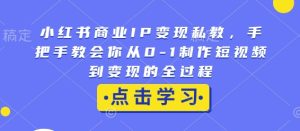 小红书短视频变现全攻略:从0到1打造商业IP,手把手教你实现盈利-小伟资源网