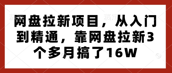 《网盘拉新项目：3个月从入门到精通，轻松赚取16W》-小伟资源网