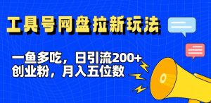 揭秘：日引流200+创业粉，全平台工具号网盘拉新玩法，月入5位数-小伟资源网