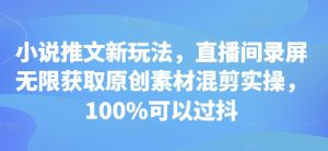 直播间录屏混剪实操：小说推文新玩法，100%过抖原创素材获取技巧-小伟资源网