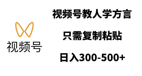 “视频号方言教学：复制粘贴轻松学，日赚多金秘籍”-小伟资源网