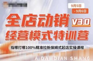 全店动销特训营：精准拉新与保姆式起店实操课程，100%提升销售技巧-小伟资源网