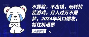 2024年风口爆发：不露脸玩转找茬游戏，月入过万不是梦【揭秘】-小伟资源网