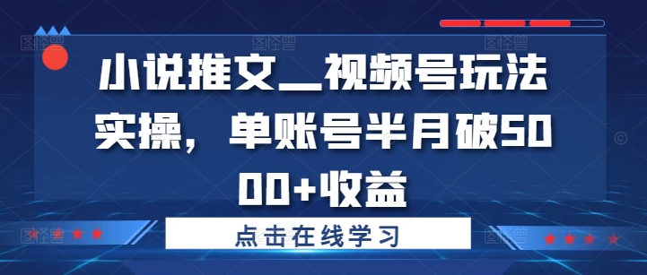视频号小说推文实操：单账号半月收益突破5000+-小伟资源网