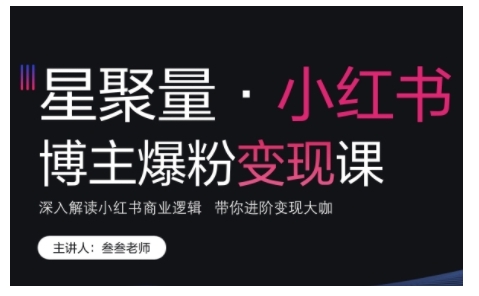 小红书博主爆粉变现秘籍：揭秘商业逻辑，快速进阶变现大咖-小伟资源网