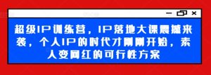 超级IP训练营：素人变网红的实战指南，个人IP时代全面开启-小伟资源网