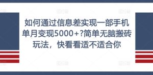 揭秘:如何利用信息差轻松实现一部手机单月变现5000+?无脑搬砖玩法解析-小伟资源网