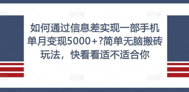 揭秘：如何利用信息差轻松实现一部手机单月变现5000+？无脑搬砖玩法解析-小伟资源网