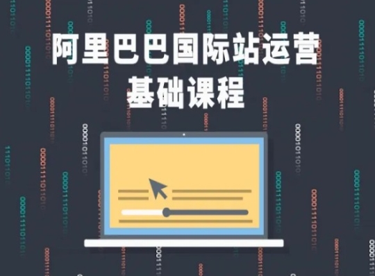 阿里巴巴国际站运营基础课程：全面掌握跨境电商运营技巧-小伟资源网
