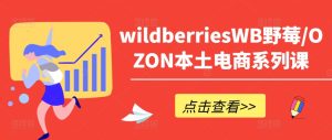 掌握Wildberries与OZON电商运营:产品优化、出单技巧与订单处理全攻略-小伟资源网