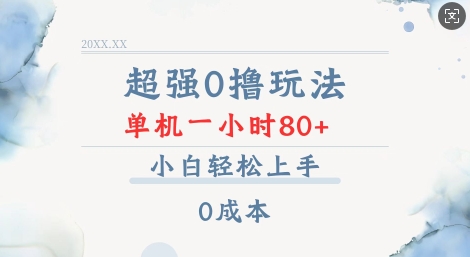 揭秘超强0成本录录数据单机玩法：一小时轻松80+，小白也能快速上手-小伟资源网