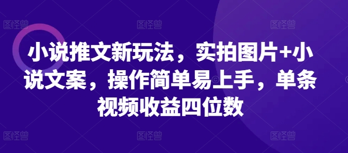 “实拍+文案：小说推文新玩法，轻松上手，单条视频收益破千！”-小伟资源网