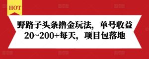“野路子头条撸金秘籍:单号日赚20~200+,项目实操全攻略”-小伟资源网