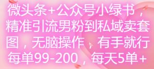 “微头条+公众号引流男粉，轻松日赚500元，无脑操作卖套图”-小伟资源网