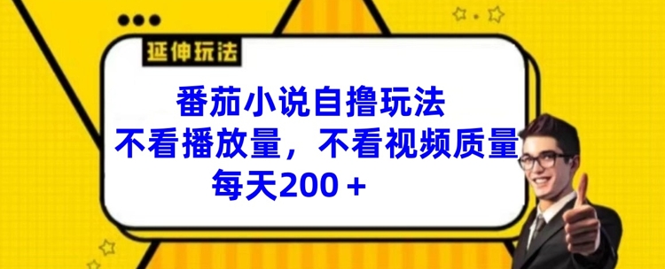 揭秘番茄小说自撸玩法：不看播放量与视频质量，日赚200+的秘诀-小伟资源网
