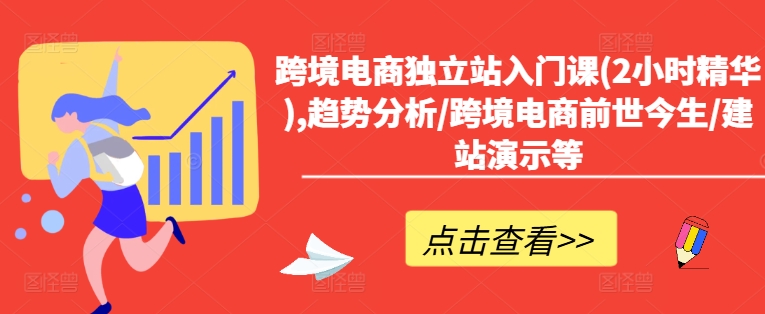 跨境电商独立站2小时速成：趋势分析、历史回顾与建站实操全解析-小伟资源网