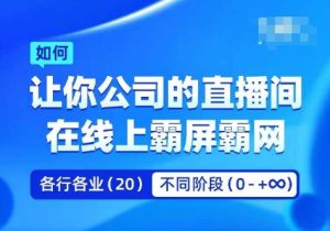 企业矩阵直播实操课：打造线上霸屏直播间，提升品牌曝光与影响力-小伟资源网