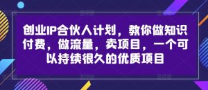 创业IP合伙人计划：打造知识付费、流量变现与项目销售的长期优质项目-小伟资源网