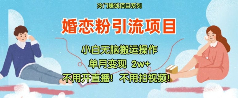 揭秘小红书婚恋粉引流：无需直播、视频与交付的高效策略-小伟资源网