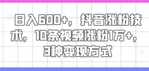 抖音涨粉秘籍:10条视频吸粉1万+,日入600+的3种变现方式大揭秘-小伟资源网