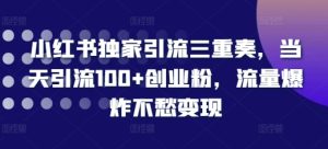 小红书引流秘籍:当天吸引100+创业粉,流量暴涨轻松变现【独家揭秘】-小伟资源网