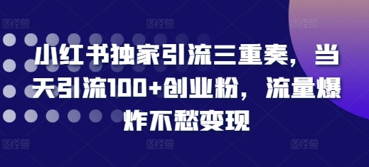小红书引流秘籍：当天吸引100+创业粉，流量暴涨轻松变现【独家揭秘】-小伟资源网