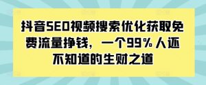 抖音SEO视频搜索优化:揭秘99%人未掌握的生财之道-小伟资源网