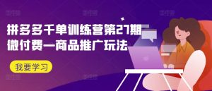 拼多多第27期千单训练营：微付费商品推广策略全解析-小伟资源网