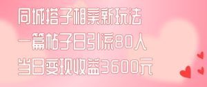 同城搭子相亲新玩法:一篇帖子引流80人,当日变现3600元(项目+实操教程)-小伟资源网