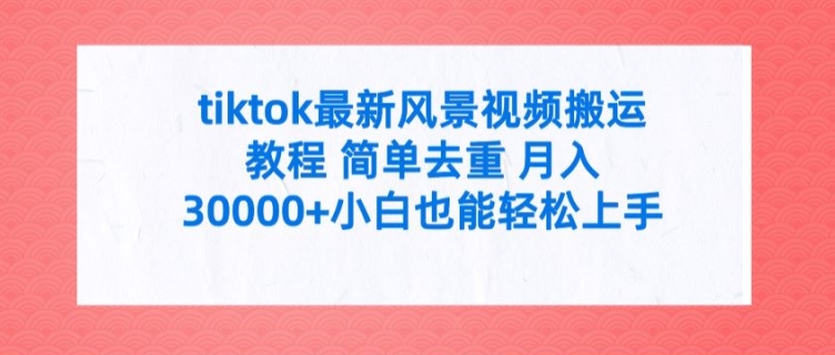 TikTok风景视频搬运教程：简单去重技巧，月入3W+，新手也能快速上手【揭秘】-小伟资源网