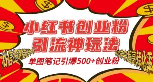 小红书创业粉引流秘籍：单图笔记轻松吸引500+精准粉丝，私信互动持续火爆-小伟资源网