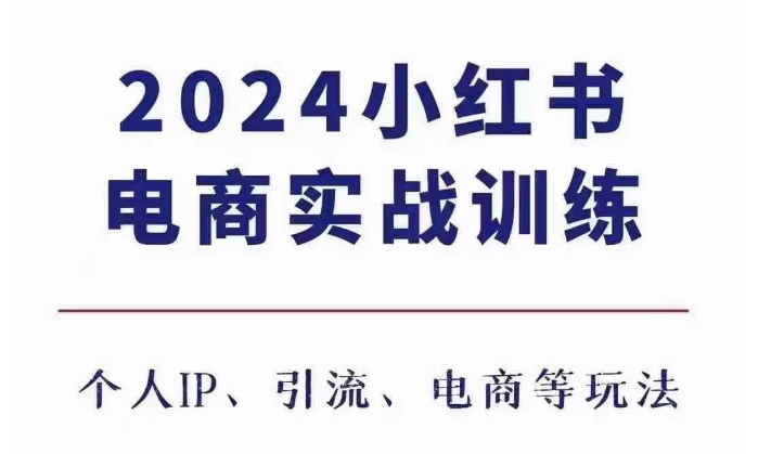 2024小红书电商3.0实战：个人IP打造、引流技巧与电商运营全攻略-小伟资源网