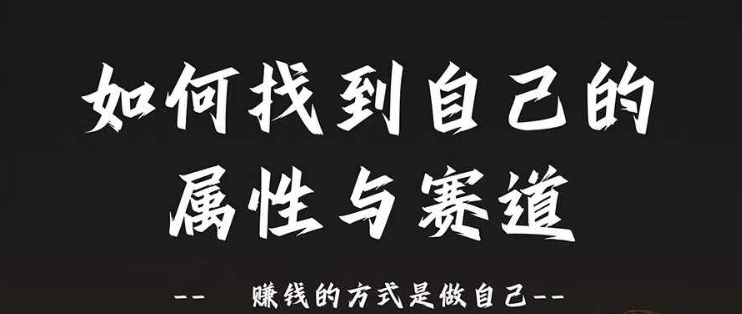 《赛道与属性2.0：如何定位自我优势，通过做自己实现盈利》-小伟资源网
