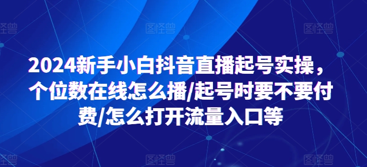 2024抖音直播新手起号指南：个位数在线应对、付费策略与流量入口全解析-小伟资源网