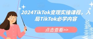 2024年TikTok变现实战指南：从入门到精通的全方位教程-小伟资源网