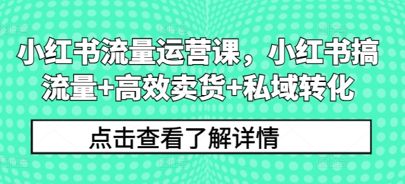 小红书流量运营全攻略：高效卖货与私域转化技巧-小伟资源网