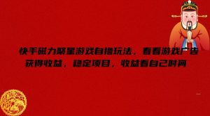 快手磁力聚星游戏广告收益揭秘：自撸玩法，时间自由，稳定收入等你来挑战！-小伟资源网