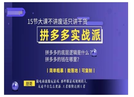 拼多多电商实战15课：干货满满，简单易学，落地复制-小伟资源网