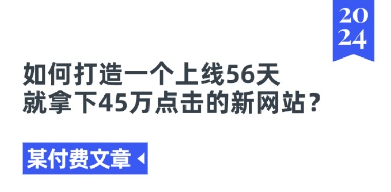 《56天45万点击：新网站快速成功的秘诀与策略》-小伟资源网