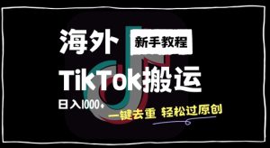 2024海外TikTok搬运新玩法：一键去重轻松过原创，新手日入1k全攻略-小伟资源网
