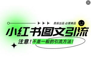 小红书图文引流创业粉：日引300+的批量操作技巧-小伟资源网