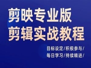 剪映专业版实战教程:目标设定、积极参与、每日学习与持续精进-小伟资源网