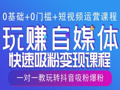 《零基础短视频运营课：抖音吸粉变现一对一指导，快速玩转自媒体》-小伟资源网