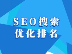 抖音SEO搜索优化排名全攻略：提升视频曝光与排名的实用教程-小伟资源网