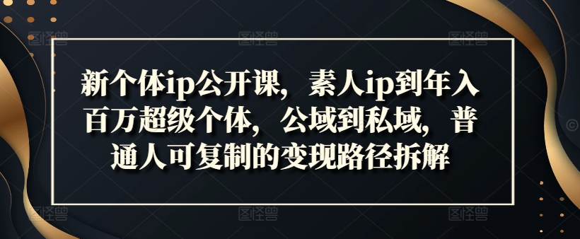 素人IP变现秘籍：从公域到私域，年入百万的超级个体成长路径全解析-小伟资源网