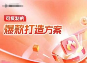 天猫电商爆款运营秘籍：线下内训课录音+字幕，打造可复制爆款方案-小伟资源网