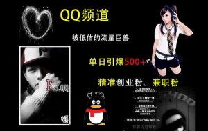 QQ频道:单日精准引流500+创业粉与兼职粉的流量秘籍-小伟资源网